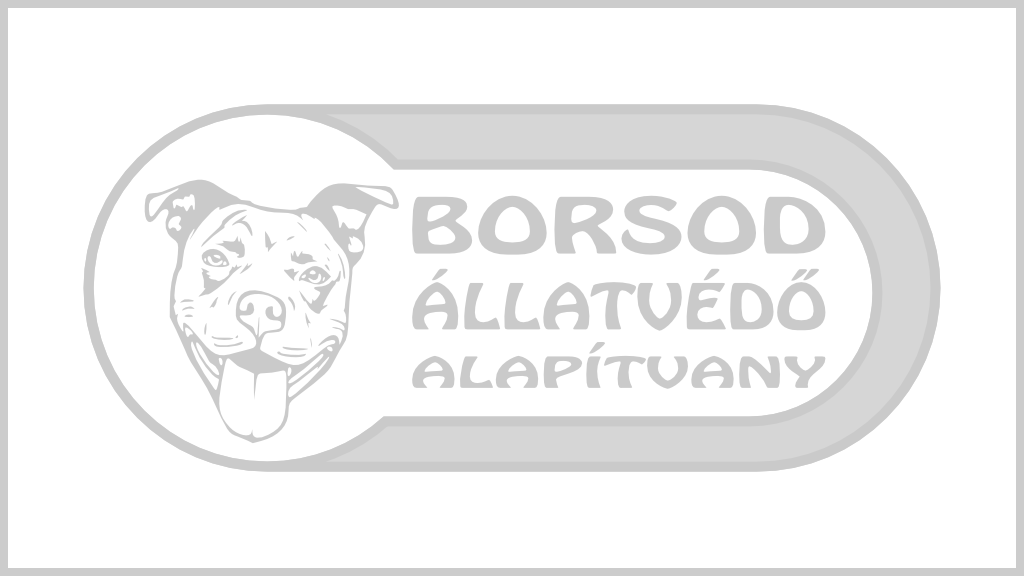 Adipiscing blandit porttitor cubilia primis praesent interdum ut pellentesque maximus morbi eros